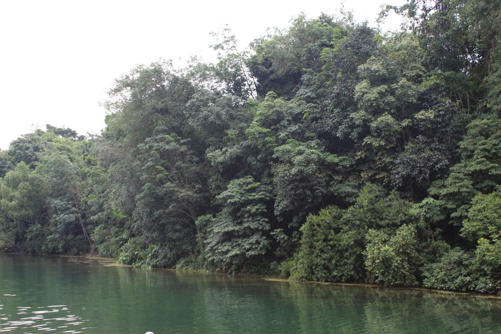 Screen-free digital detox nature walk by a Singapore reservoir