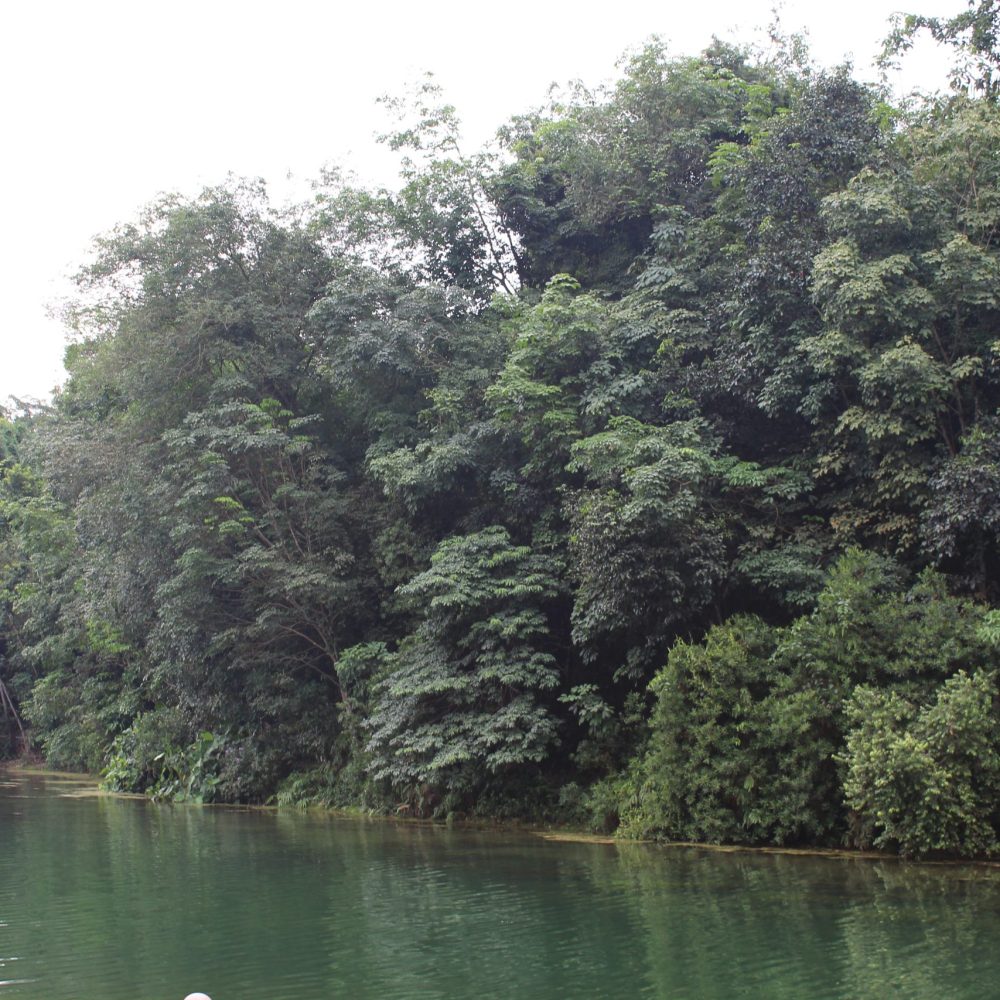 Screen-free digital detox nature walk by a Singapore reservoir