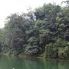 Screen-free digital detox nature walk by a Singapore reservoir