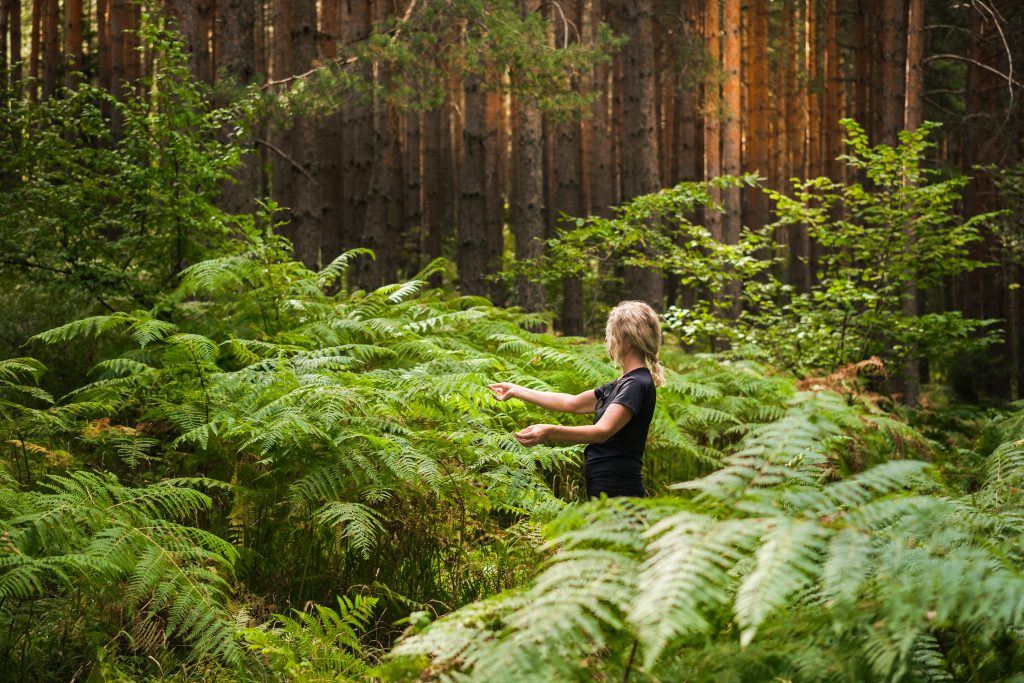 Nature Immersions