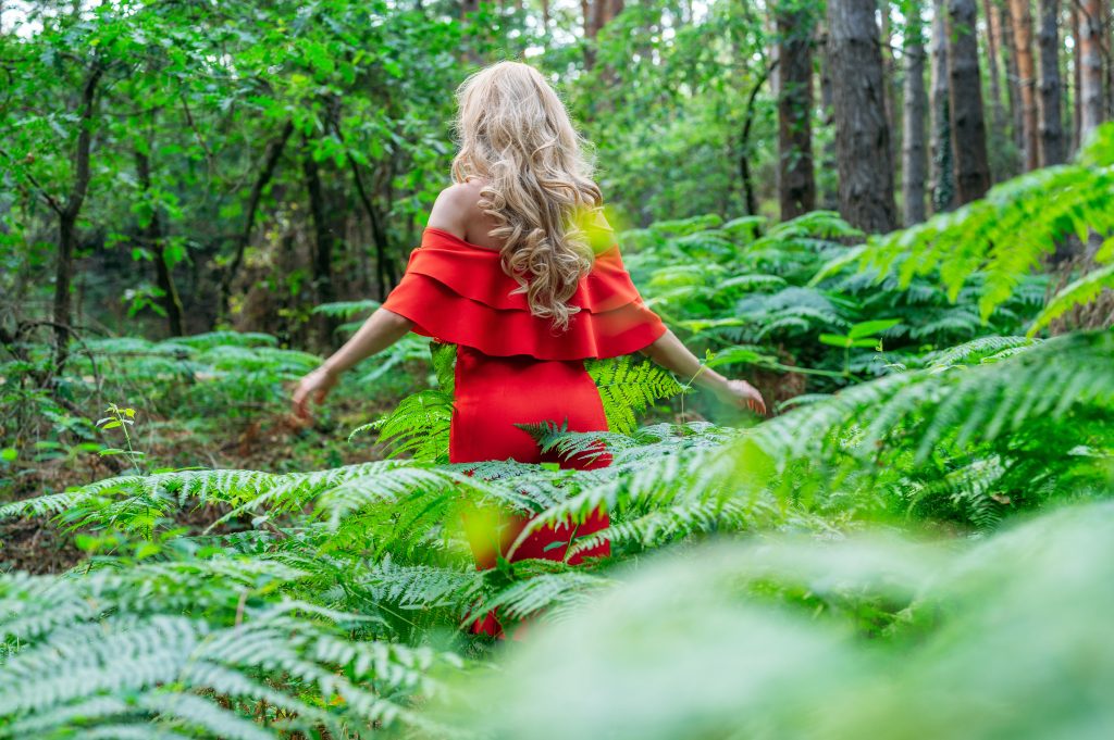 Nature Immersions