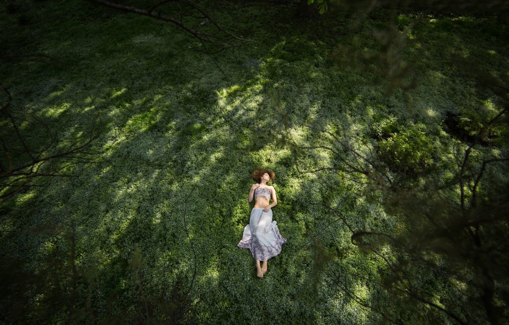 Nature Immersions