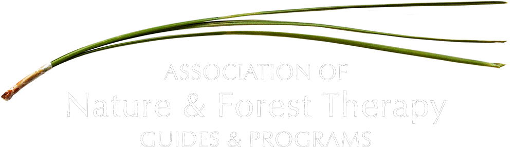 Nature Immersions Guided Forest Bathing and Nature-Based Wellbeing in Singapore Logo White