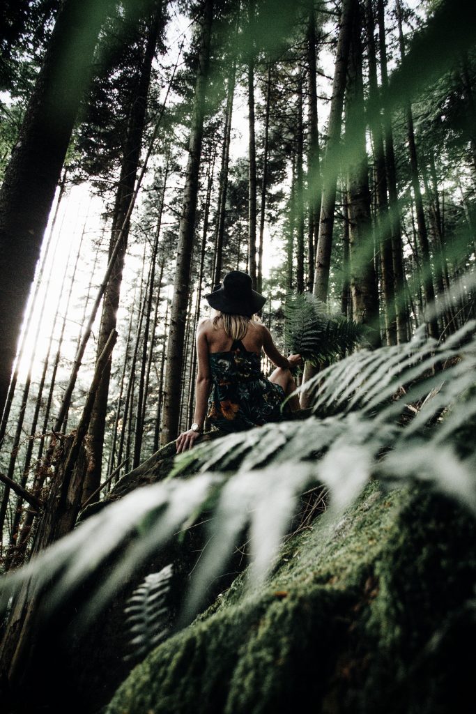 Nature Immersions