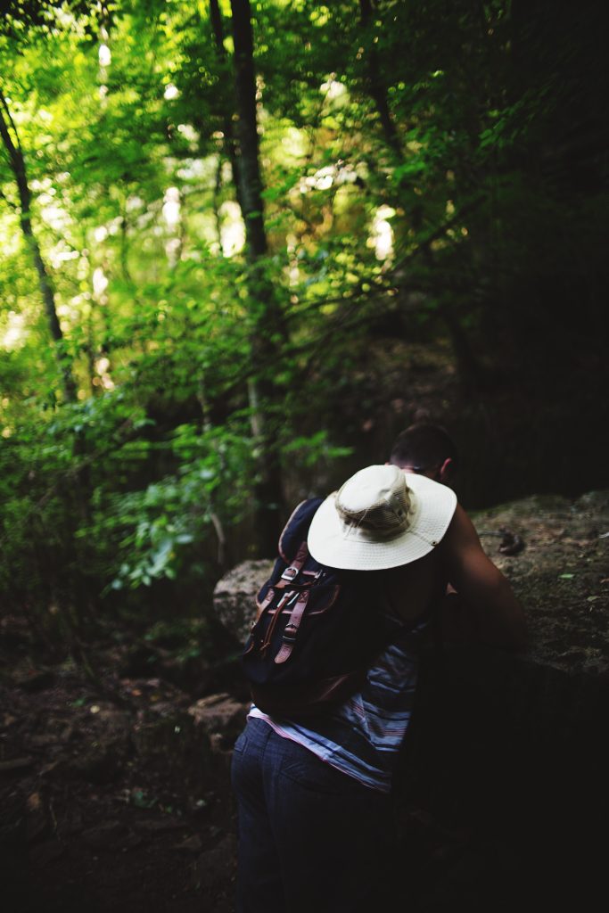 Nature Immersions