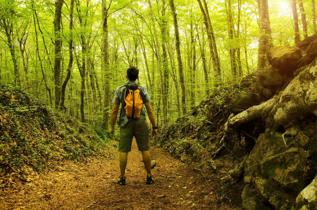 Nature Immersions
