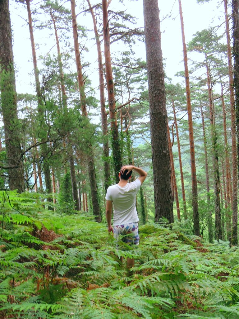 Nature Immersions