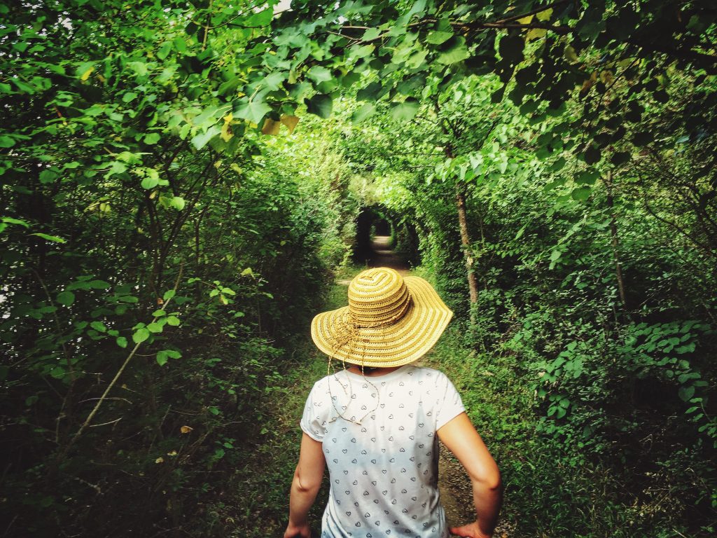 Nature Immersions