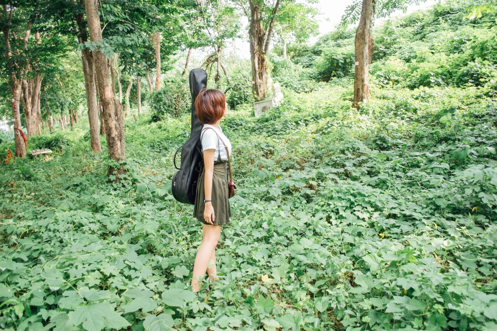 Nature Immersions