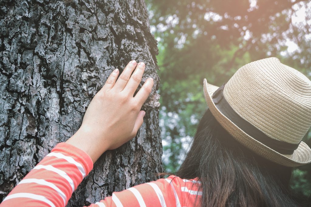 Nature Immersions