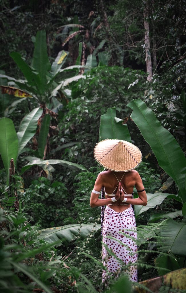 Nature Immersions