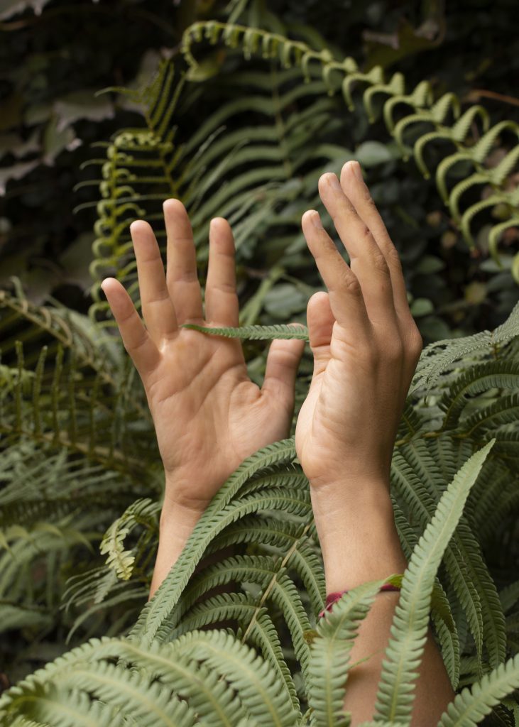Nature Immersions