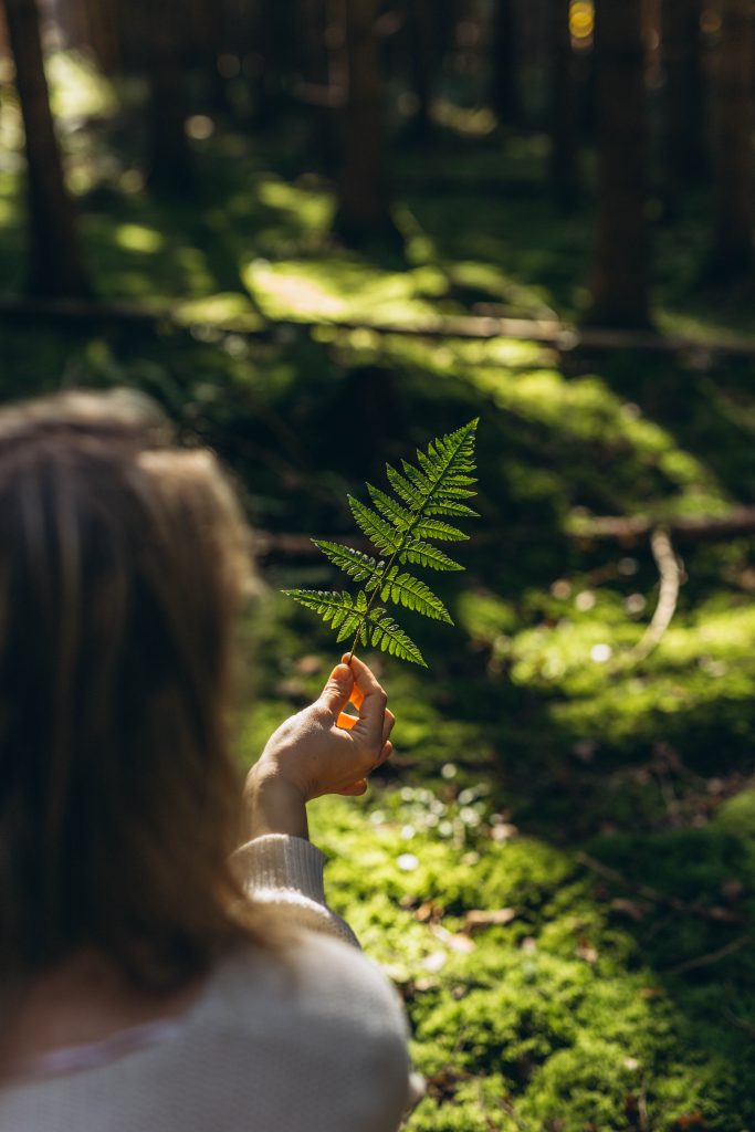Nature Immersions
