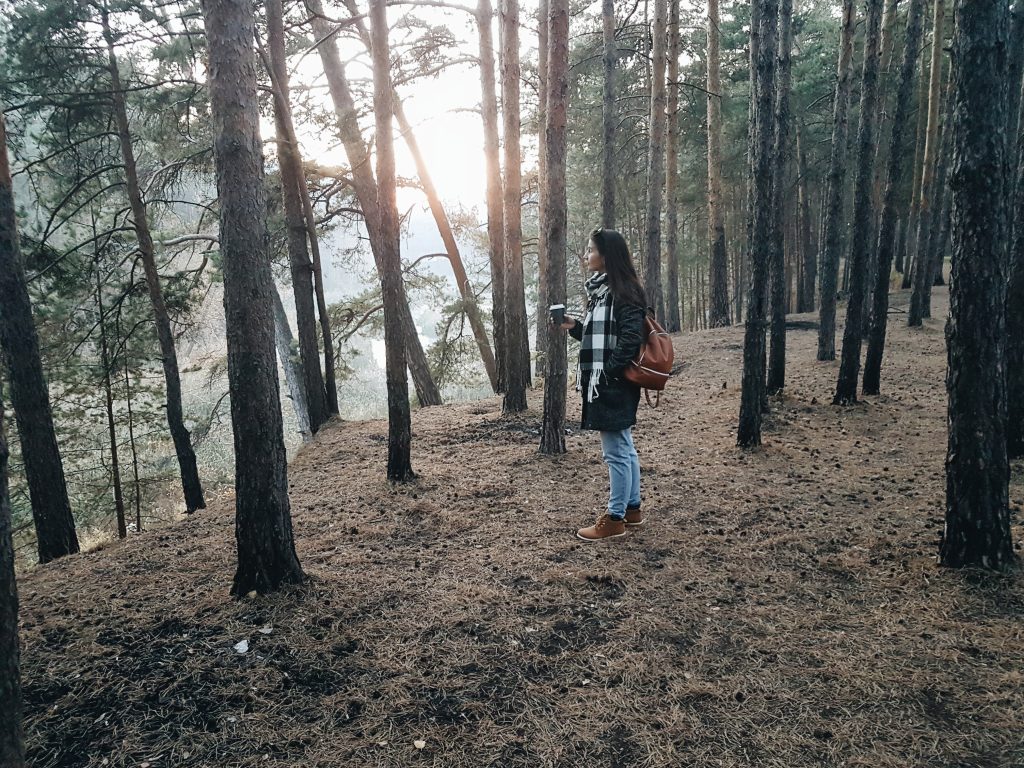 Nature Immersions
