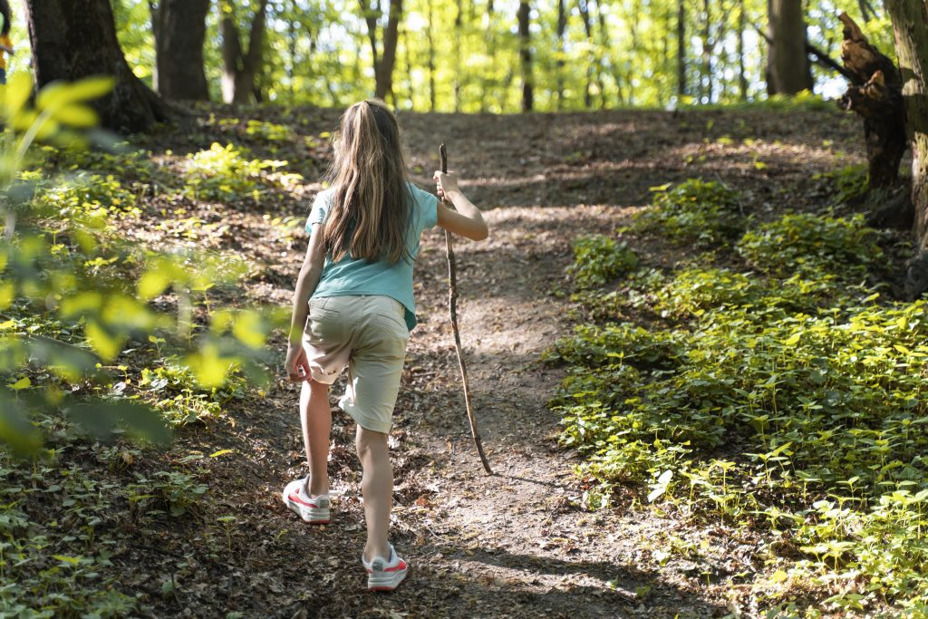 Nature Immersions
