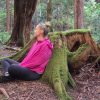 Outdoor qigong and restorative movement session in a Singapore forest