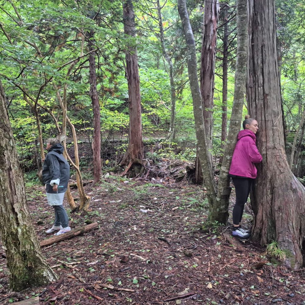 Guided group nature therapy forest bathing walk in Singapore